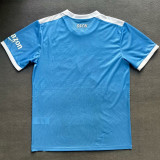 21/22 Noples Sky Blue Maillot De Football Blanc Edition commemorative Fans Soccer Jersey