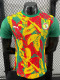 24/25 Senegal Green Puzzle Player Version Training Shirts