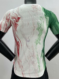 24/24 Italy White Green  Player Version Training Shirts