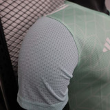 25/26 Algeria Stripe Light Green  Player Version Soccer Jersey