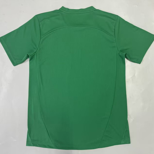 25/26  Palmeiras Goalkeeper Green Fans Soccer Jersey