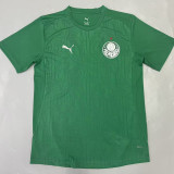 25/26  Palmeiras Goalkeeper Green Fans Soccer Jersey