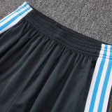 25/26  Argentina Grey Training Short Suit#D2559