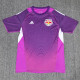 25/26 New York Red Bulls Goalkeeper Purple Fans Soccer Jersey