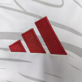 25/26 Benfica Special Edition White  Fans Soccer Jersey