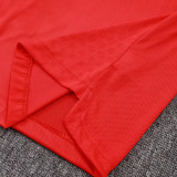 25/26 Benfica Home  Player Version Soccer Jersey& Black pants