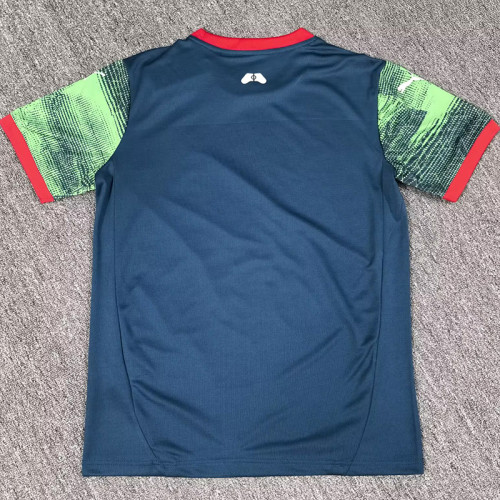 25/26  Portugal Dark Green  Training shirts