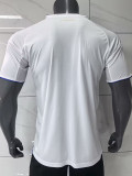 25/26  Lyon Home  Fans  Soccer Jersey
