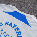 25/26  Bayern Grey Retro Training Short Suit #D25118