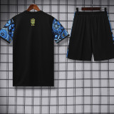 25/26 Brazil Jesus Statue Blue Training Short Suit