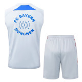 25/26 Bayern  Grey Retro Training Vest Suit #D25114（红色边）