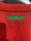 2010 Portugal Home Player Version Retro Soccer Jersey (球员)