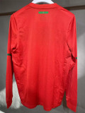 2010 Portugal Home Player Version Long Sleeve Retro Soccer Jersey (长袖球员)