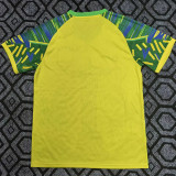 25/26 Brazil Goddess & Coconut Tree Fans Soccer Jersey