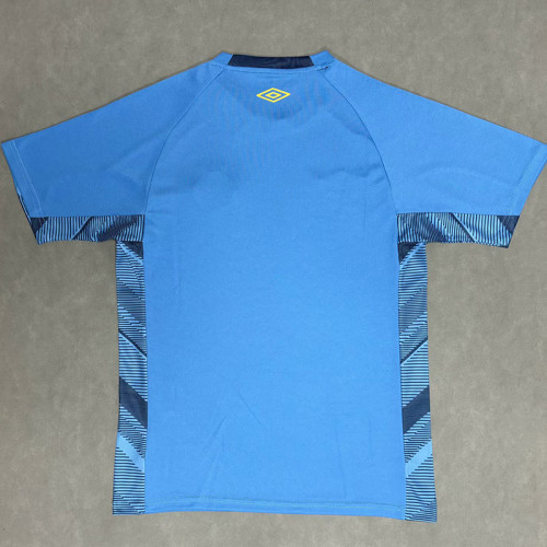 25/26 Gremio Goalkeeper Blue Fans Soccer Jersey