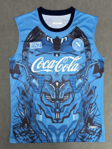 25/26 Napoli Blue vest 25/26 Napoli Blue vest