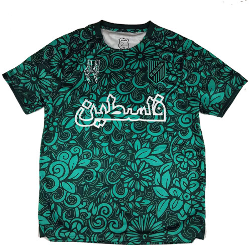25/26 Palestino Deportivo Dark Green Fans Soccer Jersey