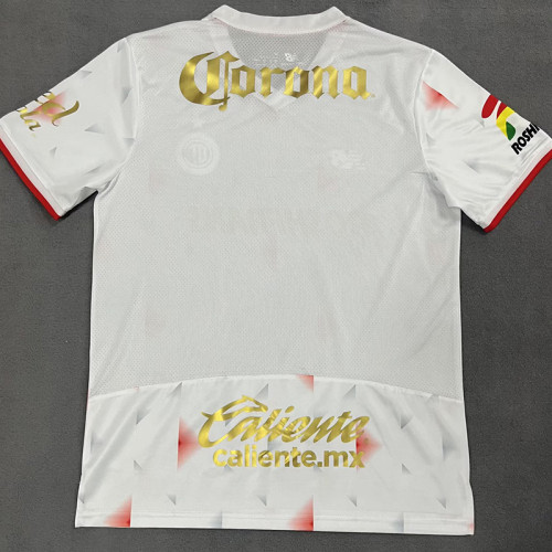 25/26 Toluca CD Away Fans Soccer Jersey