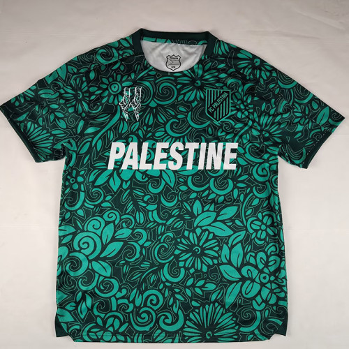 25/26 Palestino Deportivo Dark Green Fans Soccer Jersey(英文版)