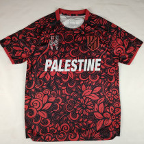 25/26 Palestino Deportivo Black & Maroon Fans Soccer Jersey(英文版) 25/26 Palestino Deportivo Black & Maroon Fans Soccer Jersey(英文版)