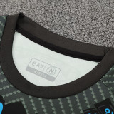 25/26 Napoli Grey Training Short Suit