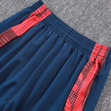 25/26 Lyon Royal Blue Player VersionTraining Long Pants#C2526