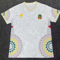 25/26 Mali White Fans Soccer Jersey 25/26 Mali White Fans Soccer Jersey