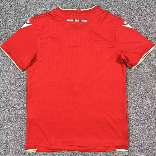 25/26 Standard Liege Home Fans Soccer Jersey
