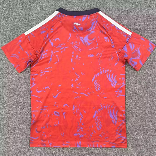 25/26 Costa Rica Home Fans Soccer Jersey