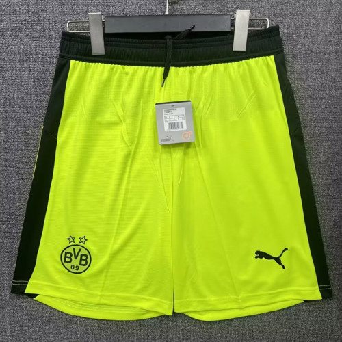 25/26 Dortmund Green Shorts Pants