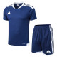 25/26 AD Royal Blue Player Version Training Short Suit#D2506