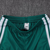 25/26 AD Green Player Version Training Short Suit#D2506
