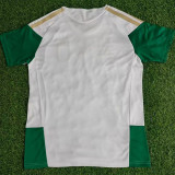 26/27 Italy White Training Shirts