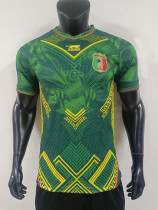 25/26 Mali Home Player Version Soccer Jersey 25/26 Mali Home Player Version Soccer Jersey