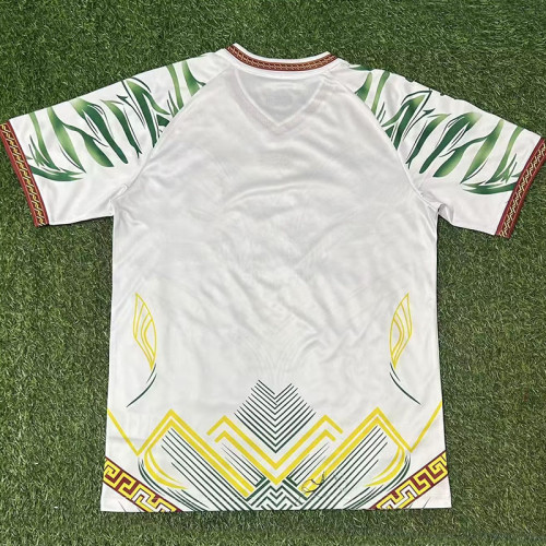 25/26 Mali Third Fans Soccer Jersey