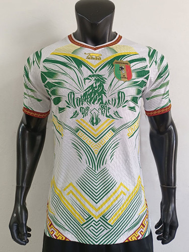 25/26 Mali Third Player Version Soccer Jersey