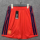 26/27 Spain Home Shorts Pants
