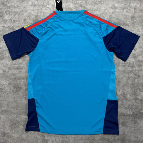 26/27 Spain Blue Training Shirts