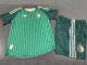 2026 Algeria Special Edition Green Player Version Kids Soccer Jersey童装