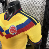 26/27 Colombia Special Edition Yellow Player Version Soccer Jersey