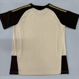 26/27 Flamengo Beige Training shirts