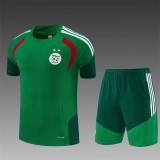 26/27 Algerian National Football Team Green Adult Sports Uniform Shirt