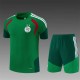 26/27 Algerian National Football Team Green Adult Sports Uniform Shirt