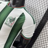26 Mexico Special Edition  Player Version Soccer Jersey