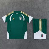 26/27 Italy Royal green Training Short Suit