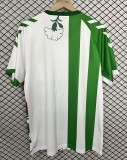 25/26 Real Betis Spring Team Edition  Player Version Soccer Jersey
