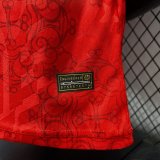 2026 Portugal  Special Edition Player Version Soccer Jersey
