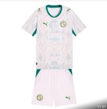 2026 Senegal Away Player Version  Adult Set of clothes Soccer Jersey