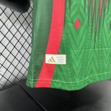 2026  Mexico Special Edition  Player Version Soccer Jersey