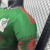 2026  Mexico Special Edition  Player Version Soccer Jersey